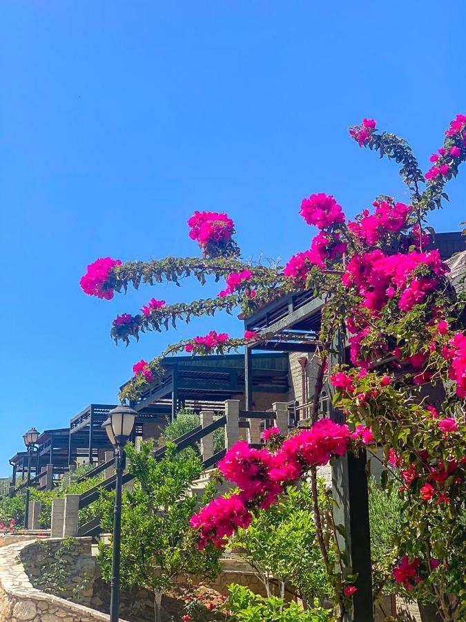 Aqua Holiday Apartments Vlorë Eksteriør billede